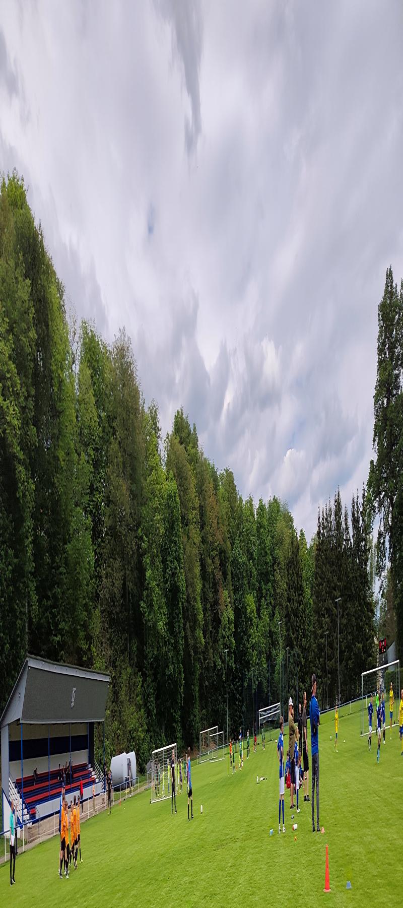 54