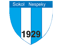 TJ Sokol Nespeky