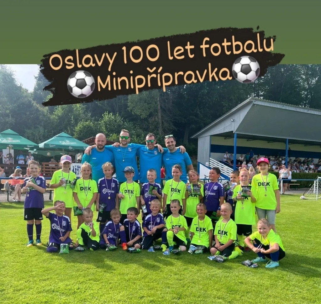 Minipřípravka